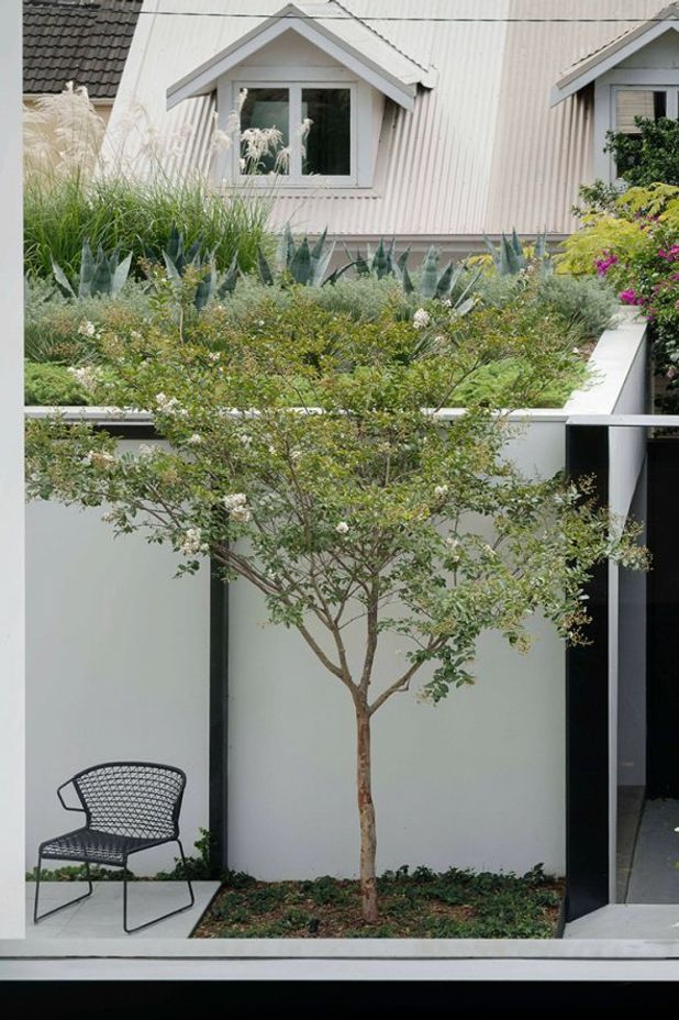 Raising the roof – The beauty and benefits of rooftop gardens