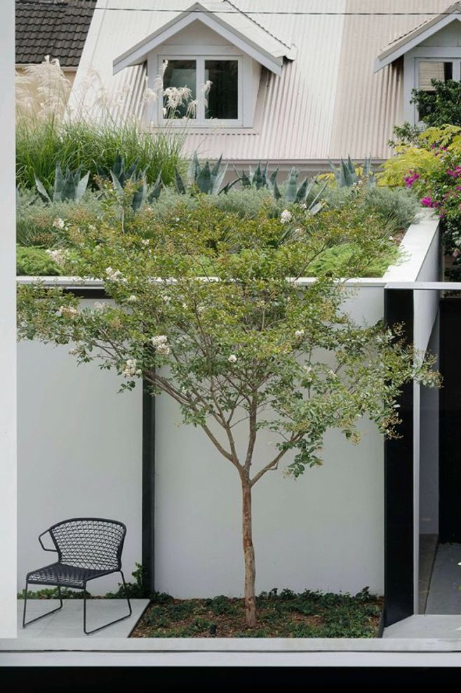 Raising the roof – The beauty and benefits of rooftop gardens