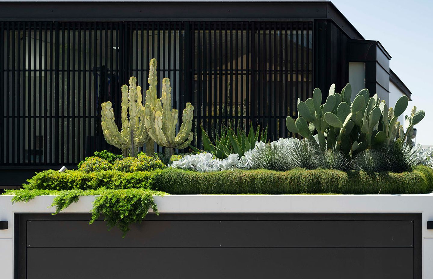 Raising the roof – The beauty and benefits of rooftop gardens