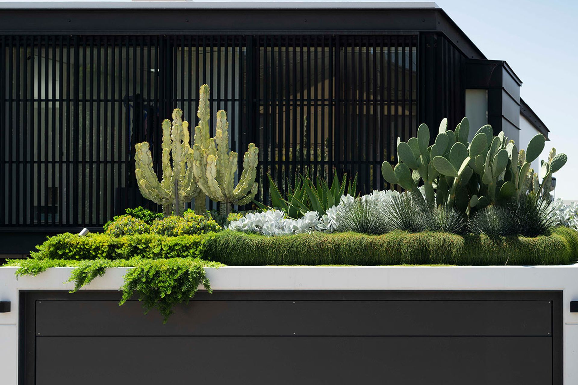 Raising the roof – The beauty and benefits of rooftop gardens