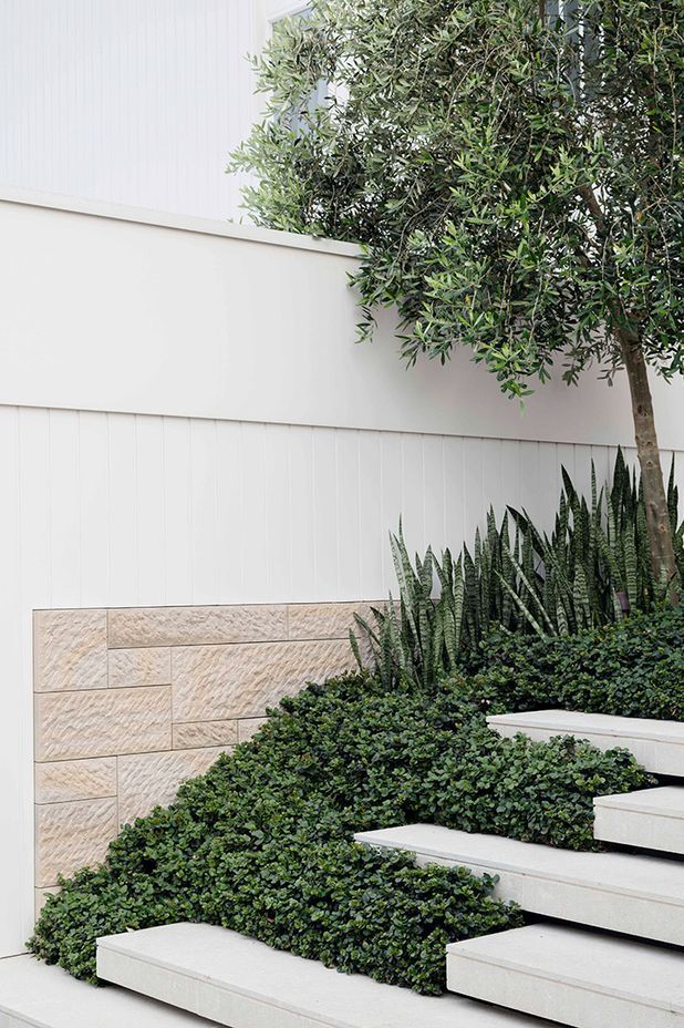 Neighbourhood Watch Reimagined