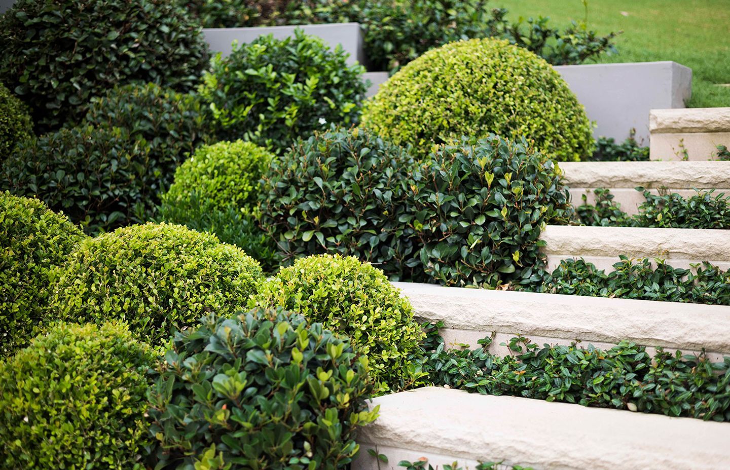 The Importance of Investing in Detailed Design