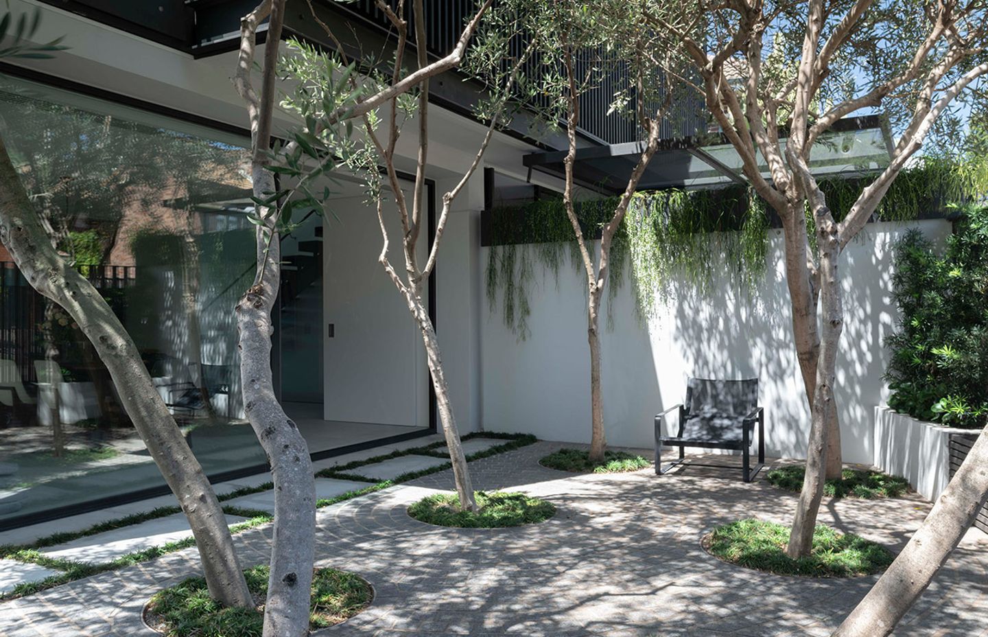 Why it’s Time to Stop Throwing Shade at Trees