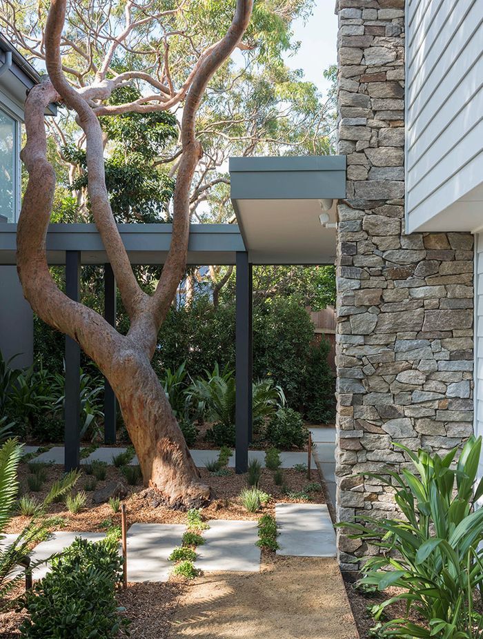 Why it’s Time to Stop Throwing Shade at Trees