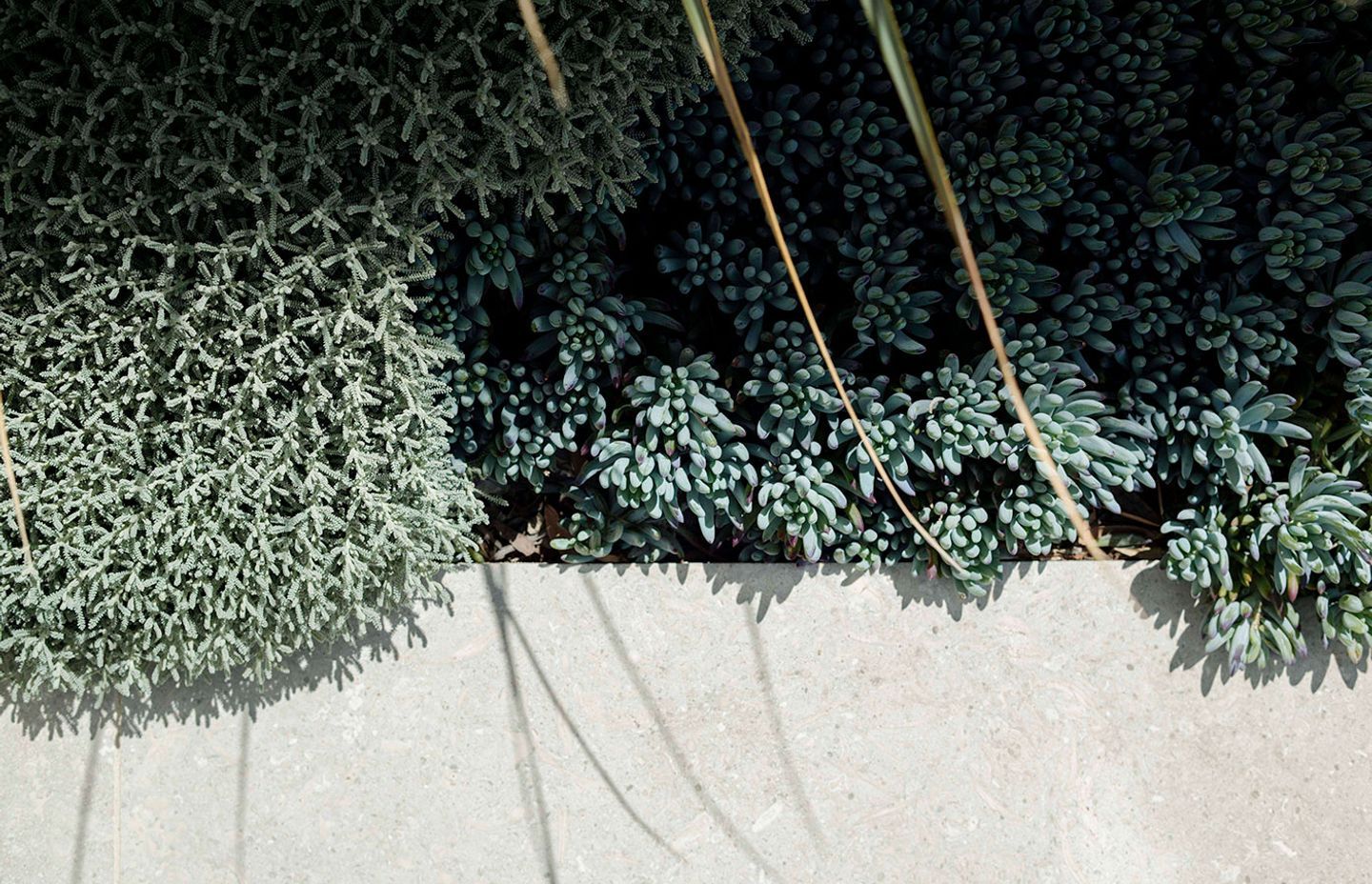 Matching Your Garden to Your Home