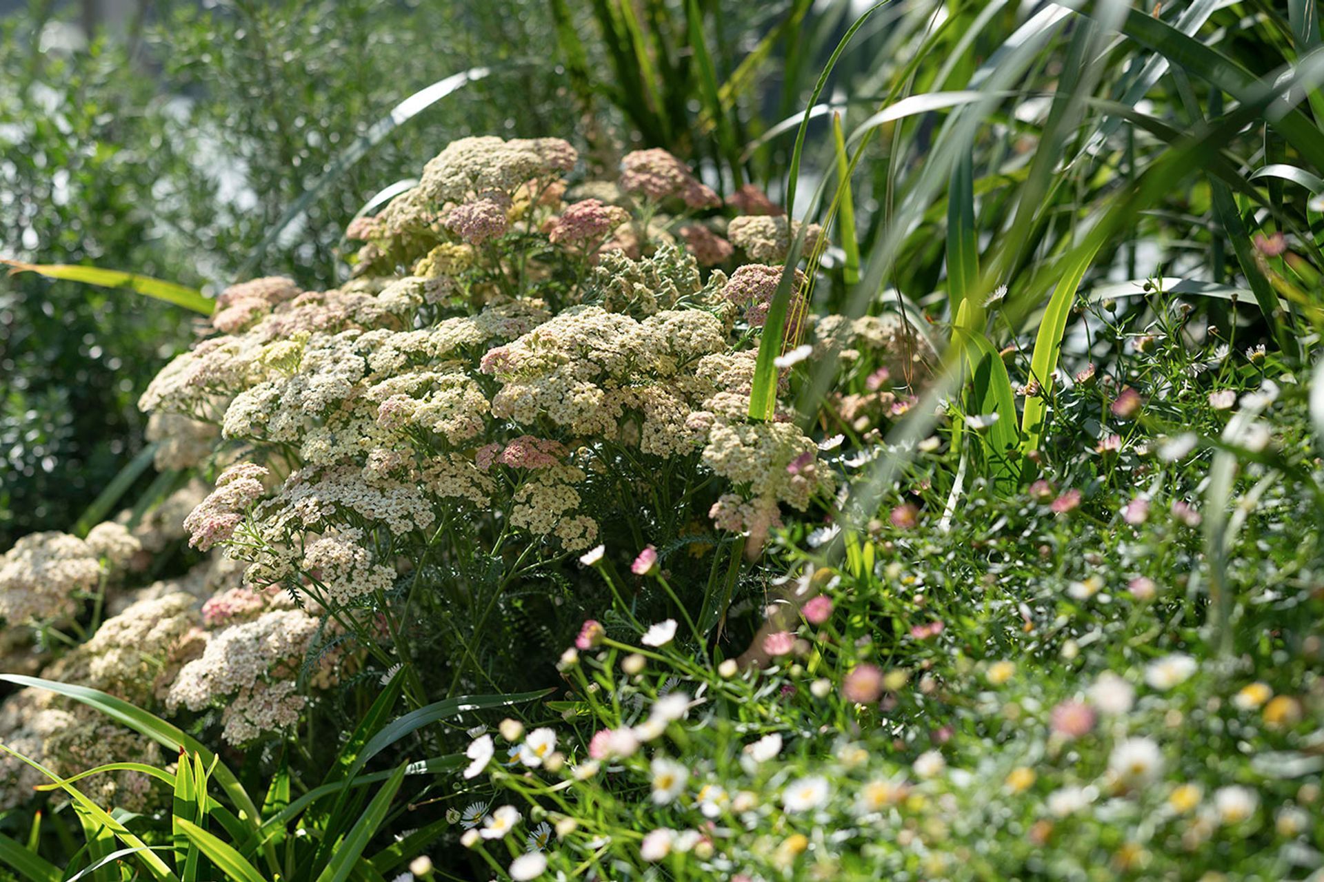 Matching Your Garden to Your Home