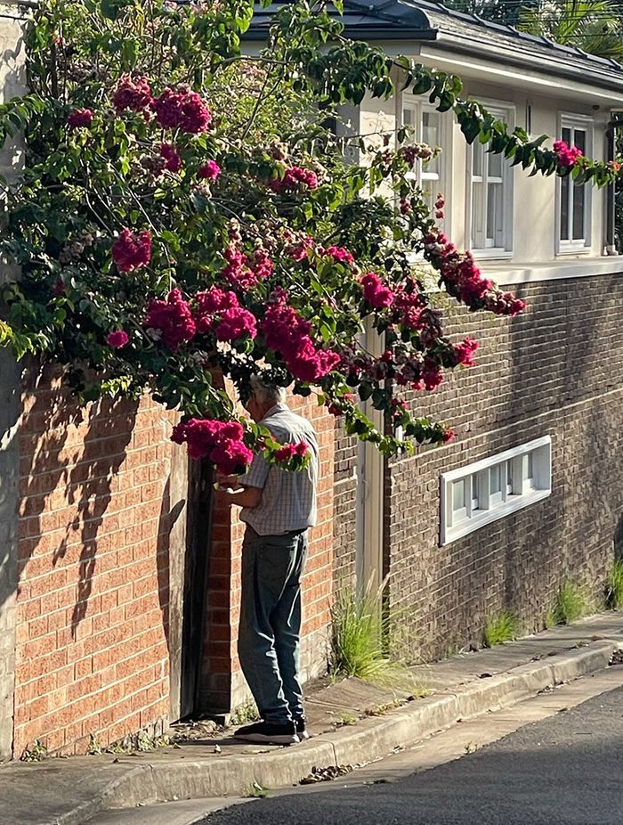 Borrowed Landscape: Making more of the humble laneway
