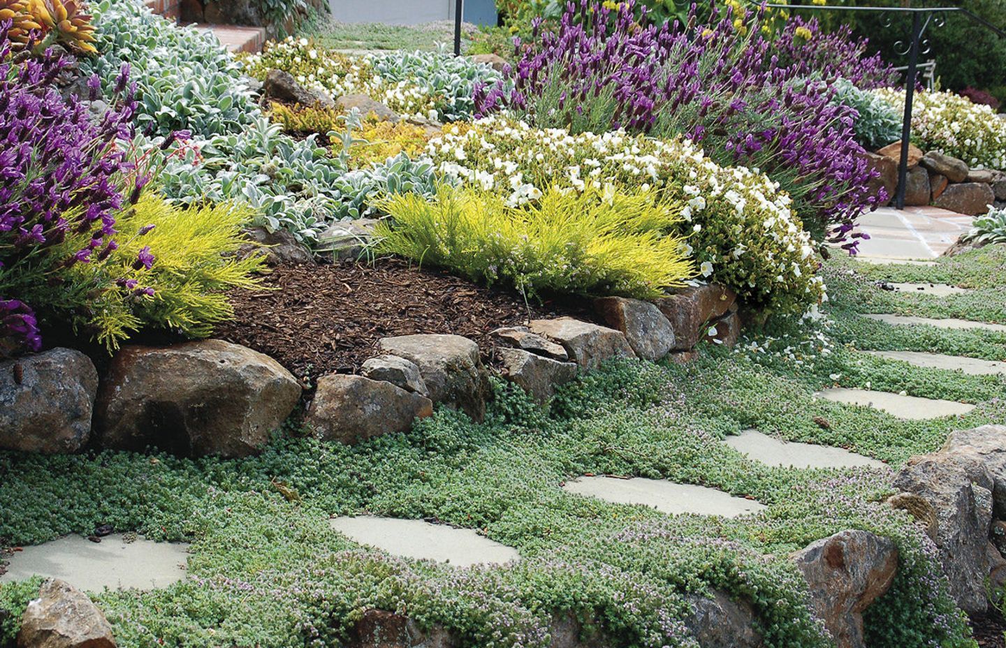 The End of the Veggie Patch