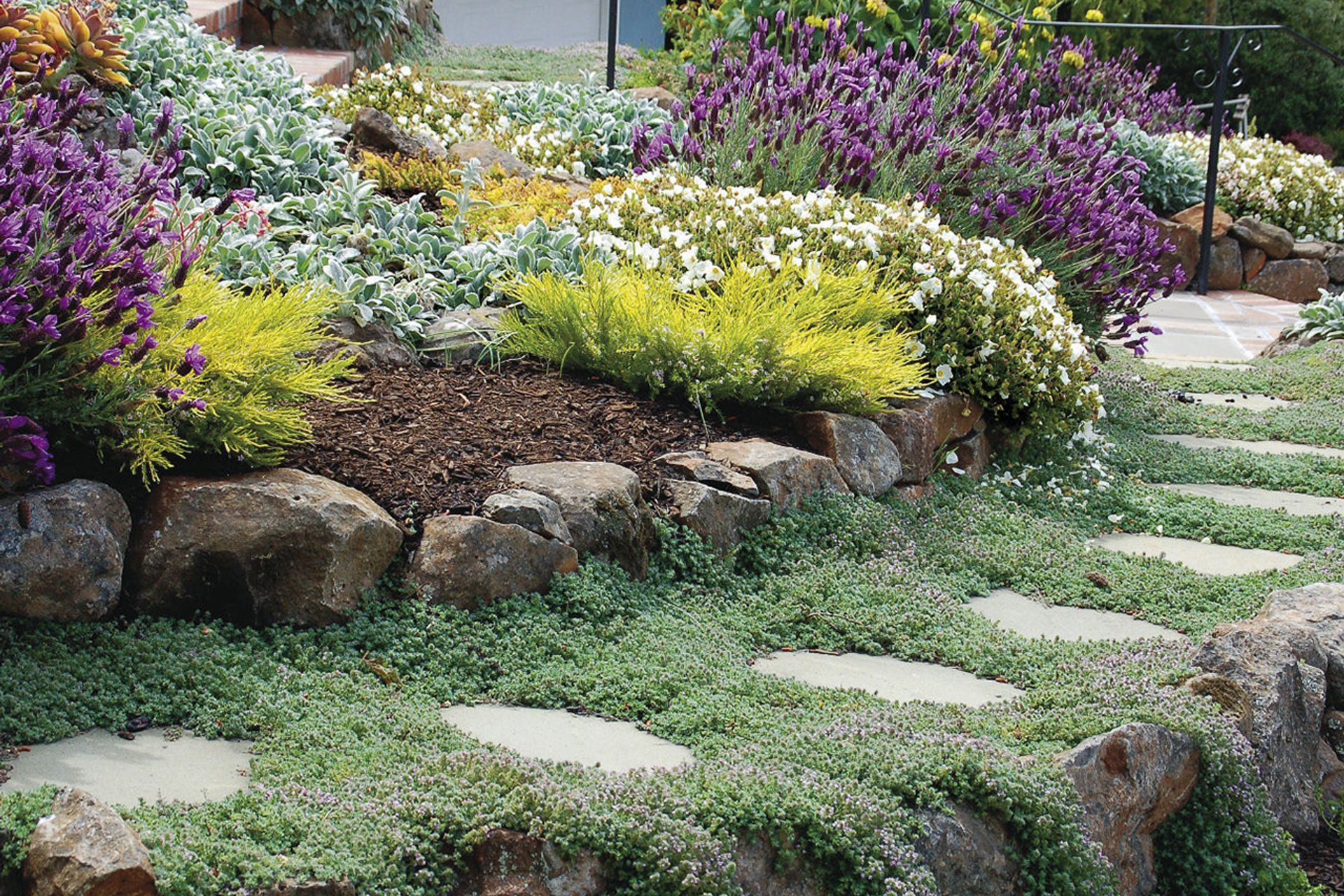 The End of the Veggie Patch