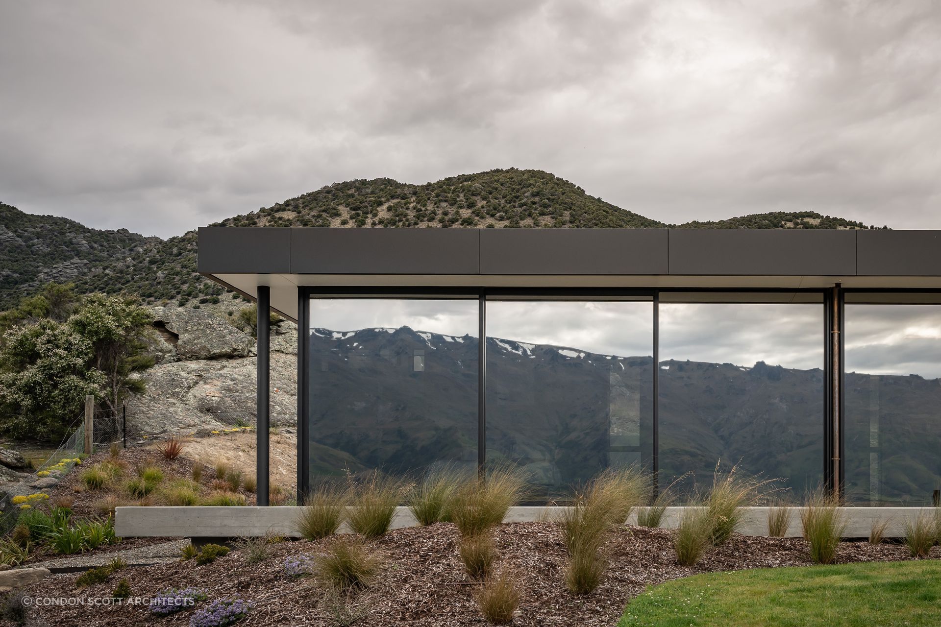 The fully-glazed western face of Bendigo Terrace House. | Photographer: Simon Larkin