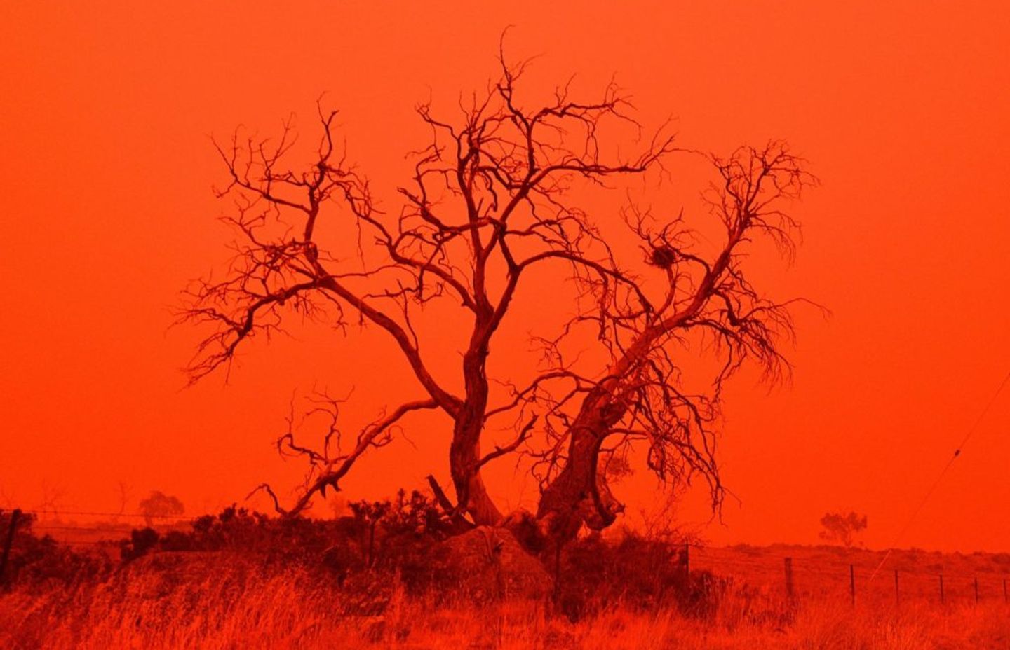 The effects of smoke from the Snowy Valley bushfire on the outskirts of Cooma on January 4, 2020. (Photo: Saeed Khan/ AFP via Getty Images)