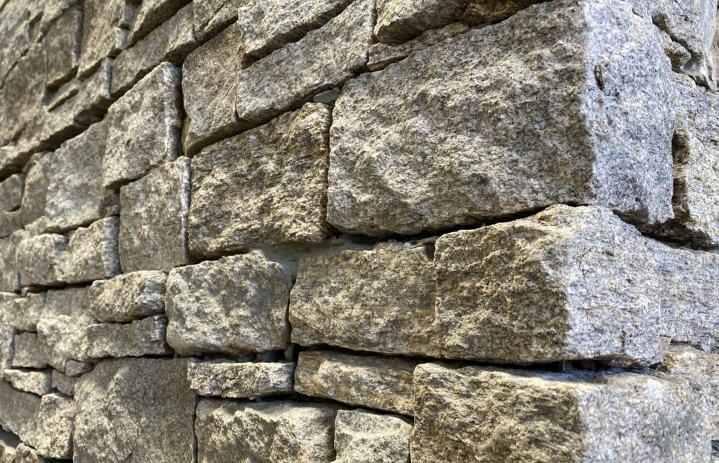 Our teams favourite new products from the month