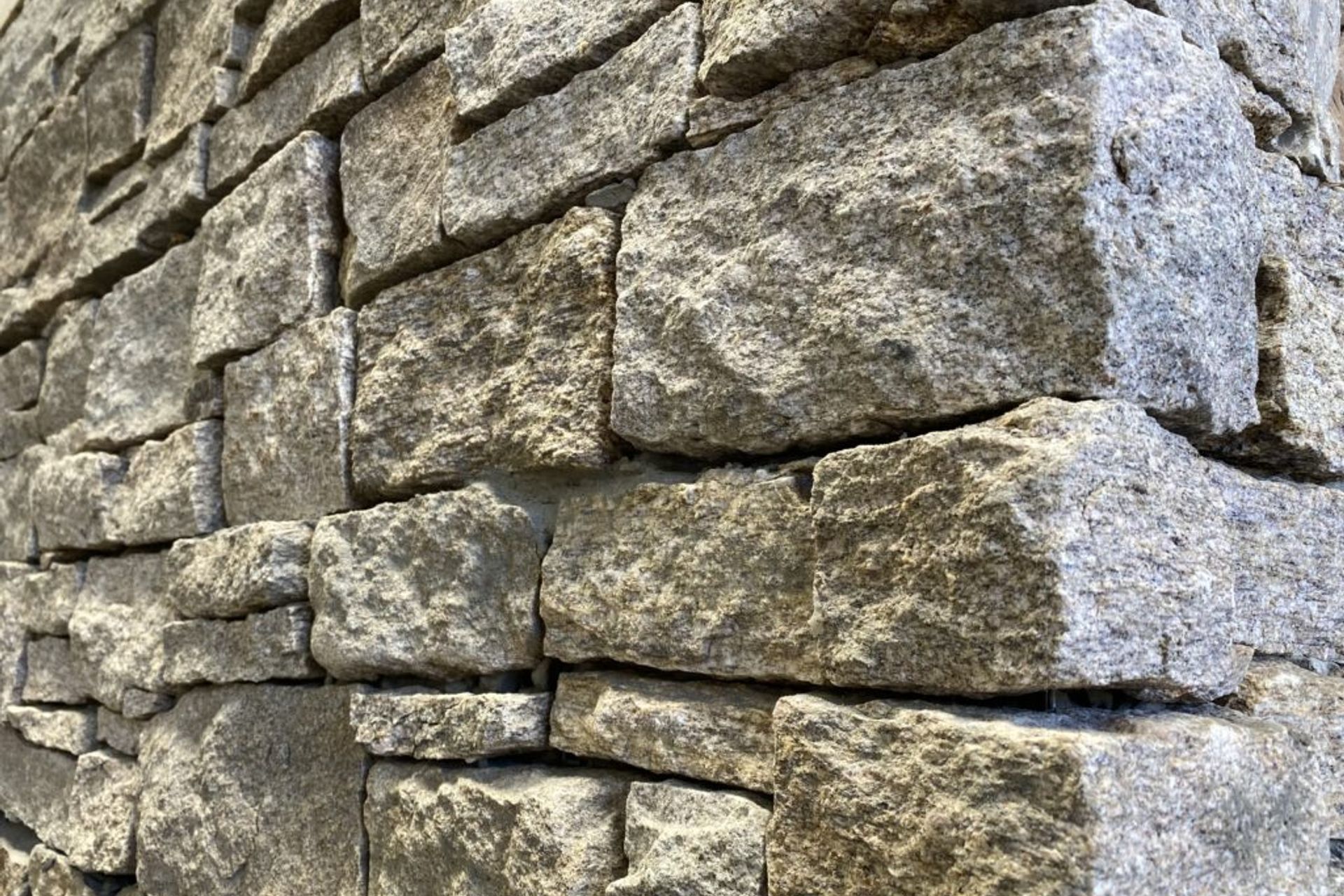 Our teams favourite new products from the month