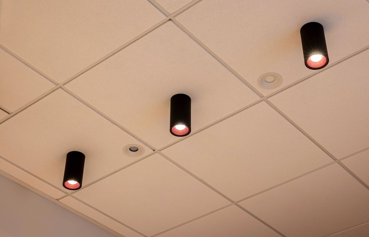 Switch Lighting launches new showroom in Christchurch