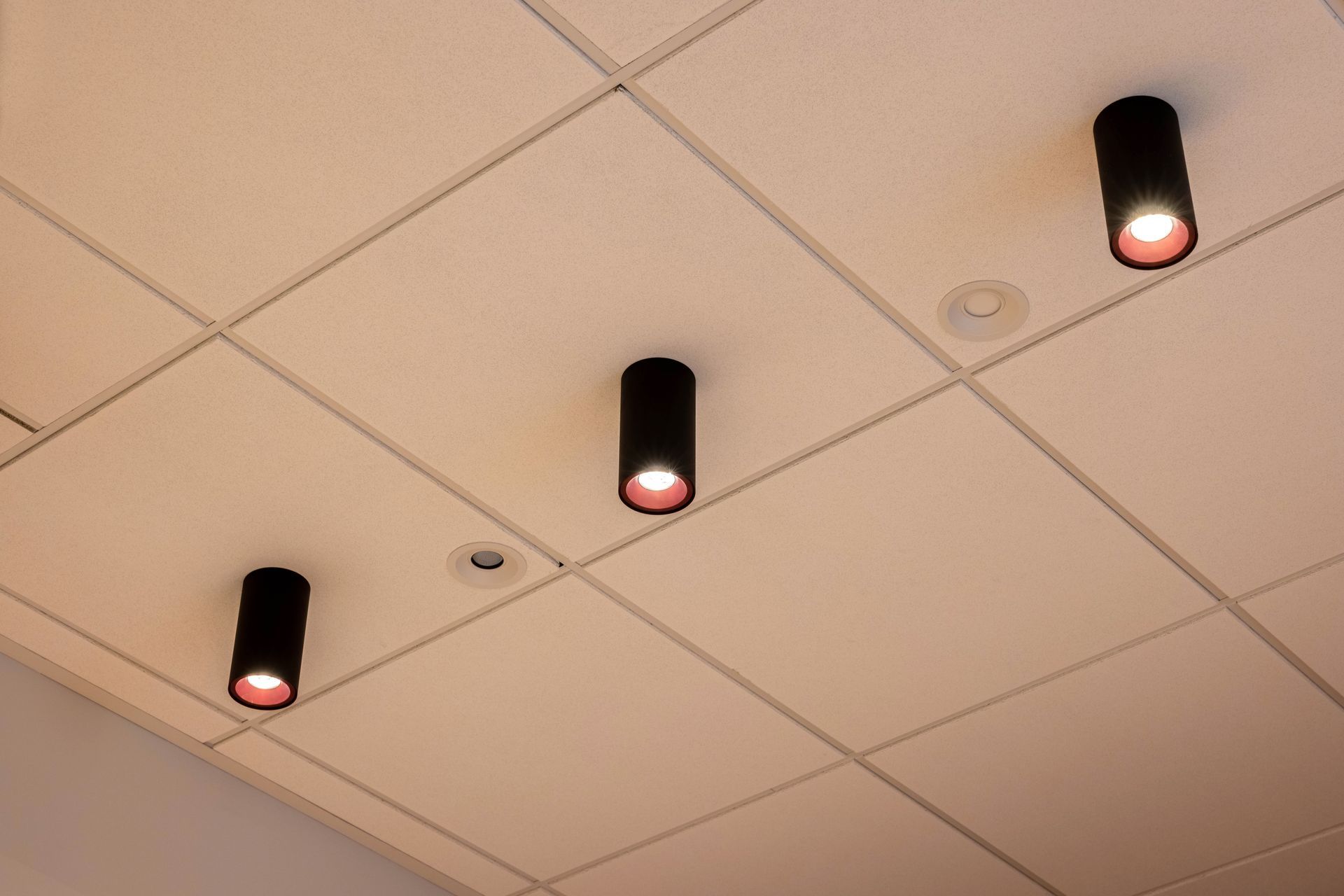 Switch Lighting launches new showroom in Christchurch