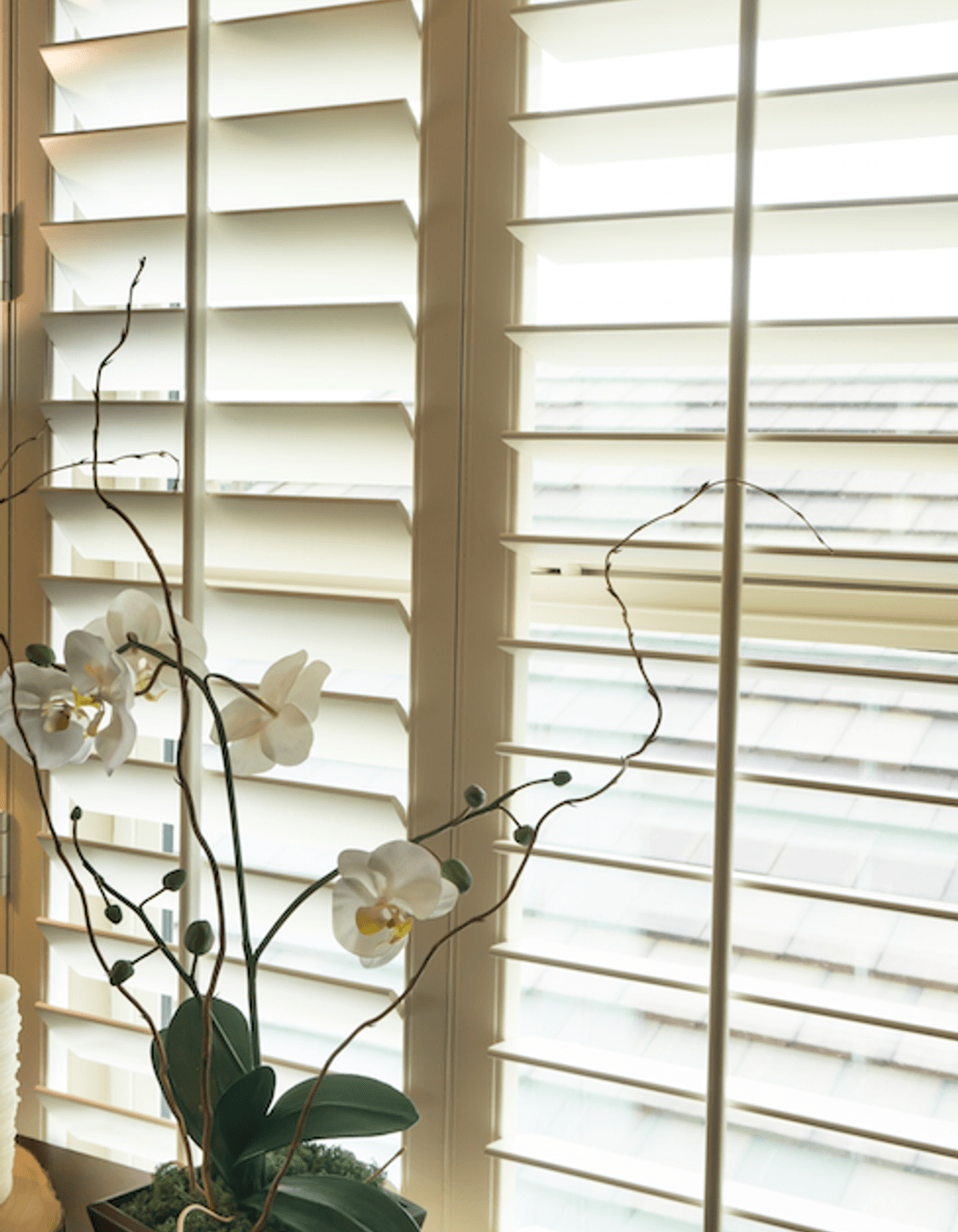 Choosing The Right Shutters