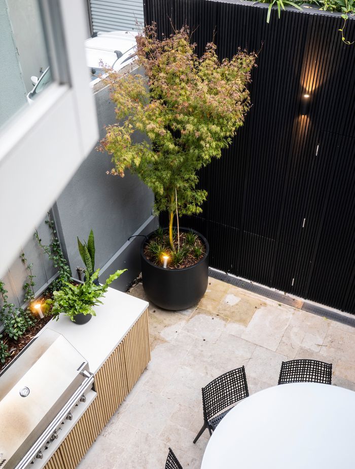 Small-Garden-Design-Sydney-NSW-By-Vogue-Vine.jpg
