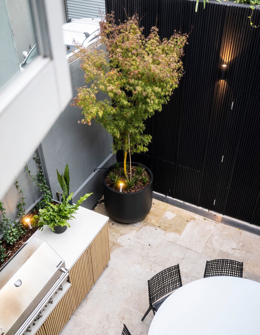 Small-Garden-Design-Sydney-NSW-By-Vogue-Vine.jpg