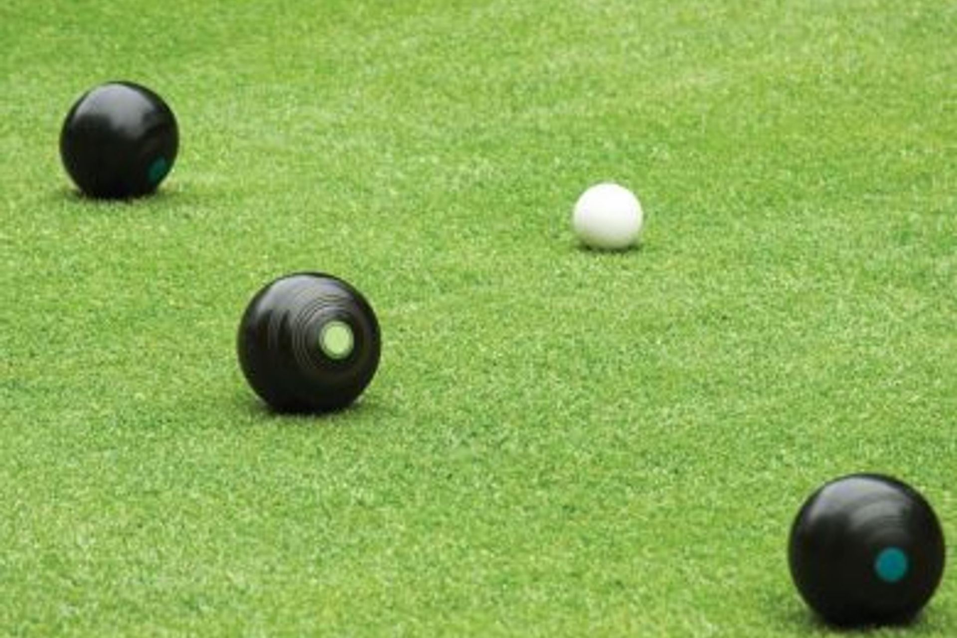 6 Compelling Reasons to use an artificial turf surface for your Bowling Green