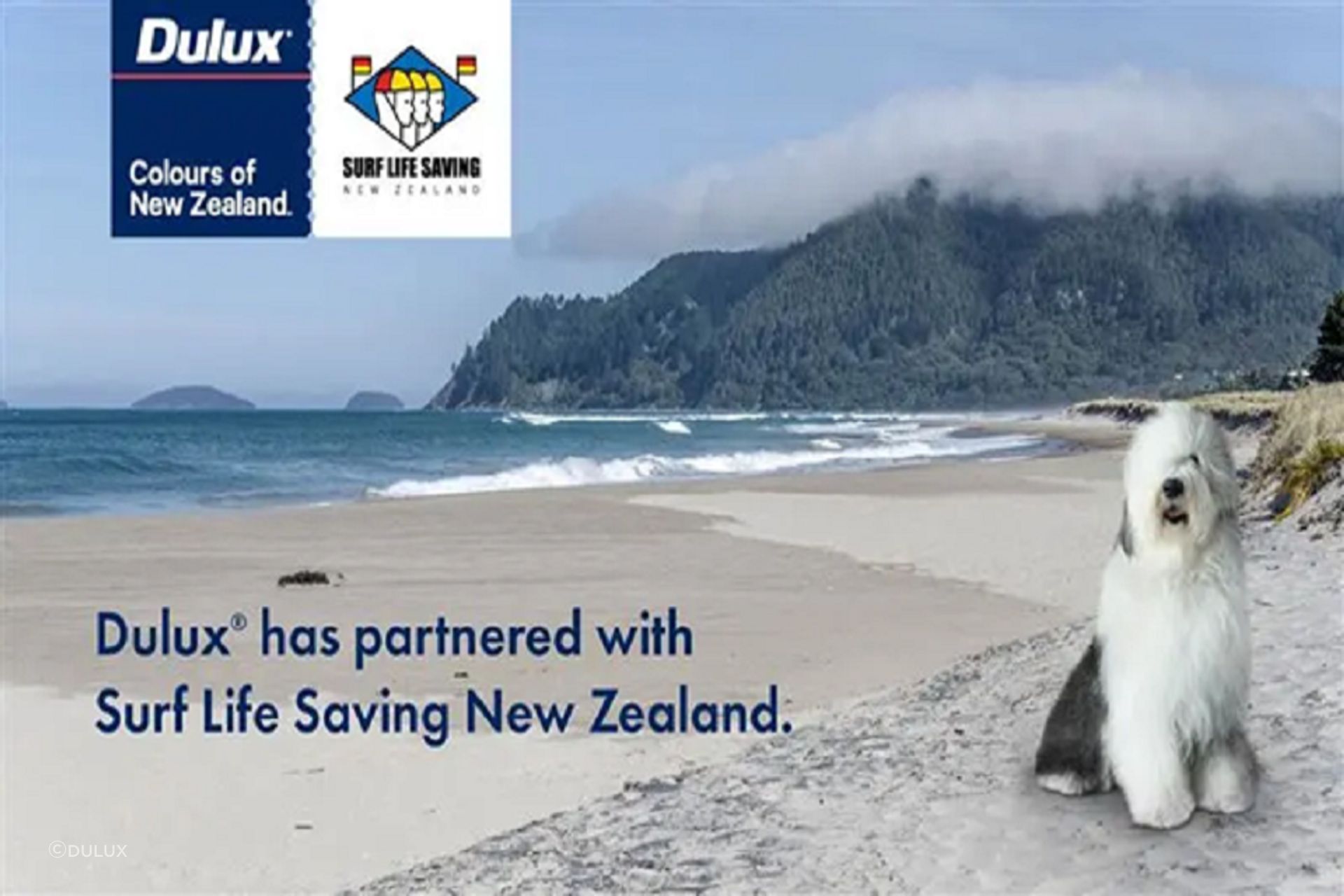 Surf-Life-Saving-New-Zealand-and-Dulux-Colours-of-New-Zealand.png