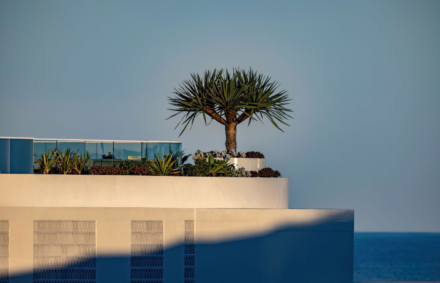The Surf opens for guests in Yamba