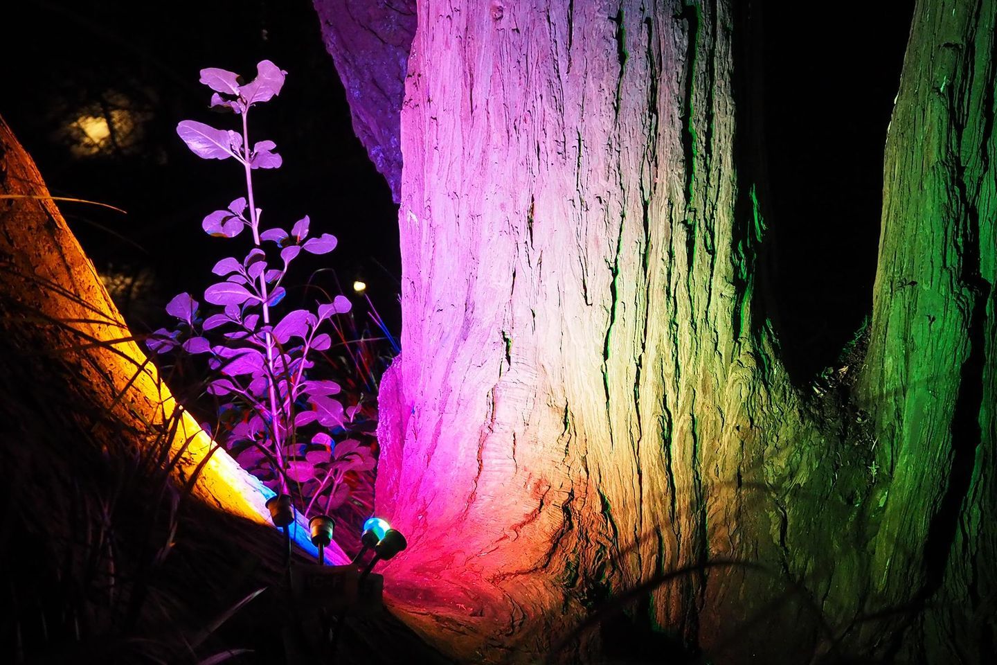 Switch Lighting Mini-LIGHTZ Colours