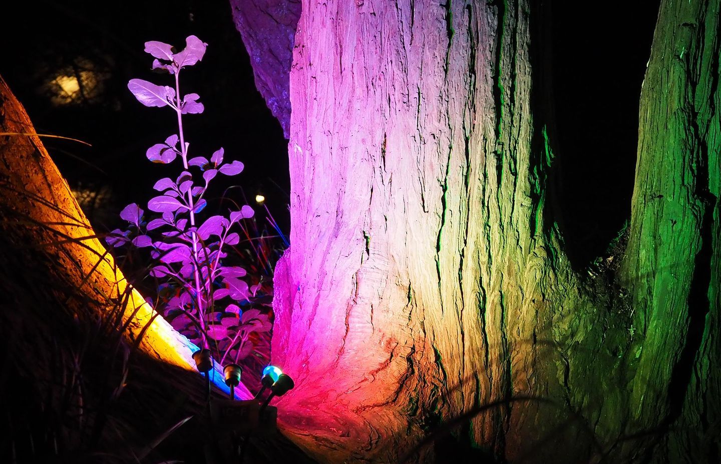 Switch Lighting Mini-LIGHTZ Colours