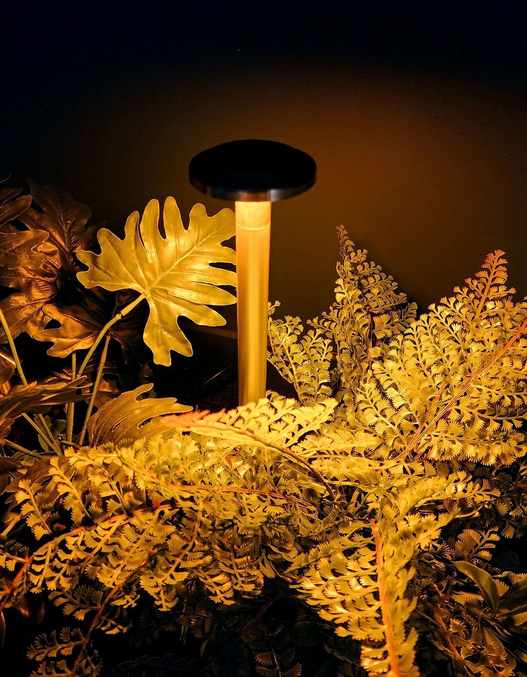 Switch Lighting Path Light 1