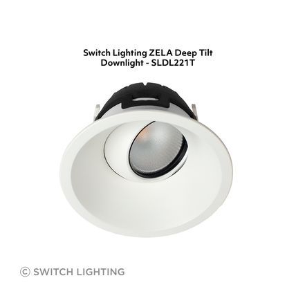 Switch-Lighting-luminaire-3-SLDL221T-v4.jpg