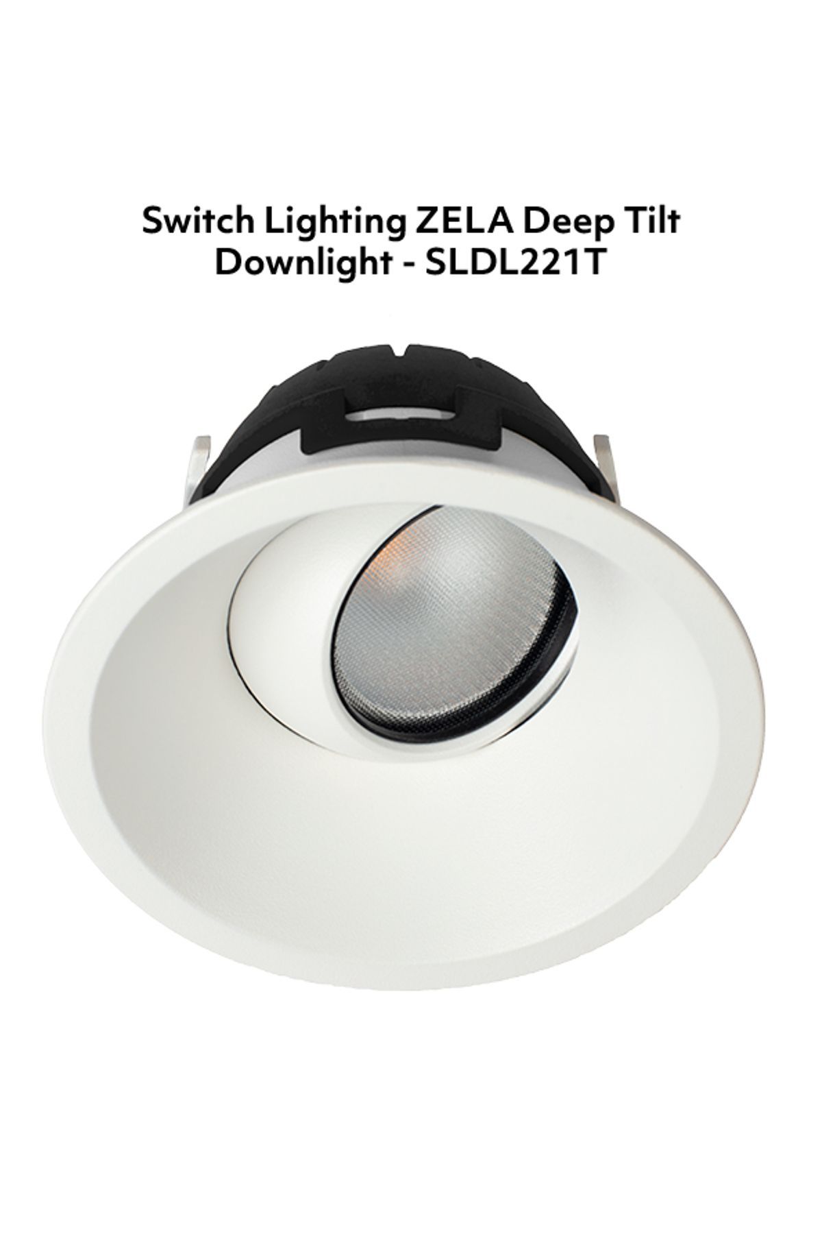 Switch-Lighting-luminaire-3-SLDL221T-v4.jpg