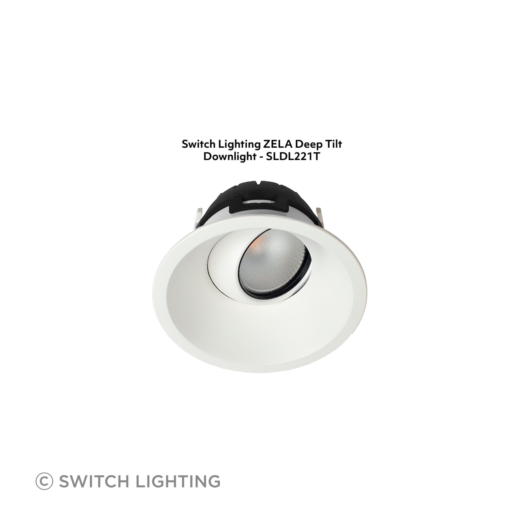 Switch-Lighting-luminaire-3-SLDL221T-v4.jpg