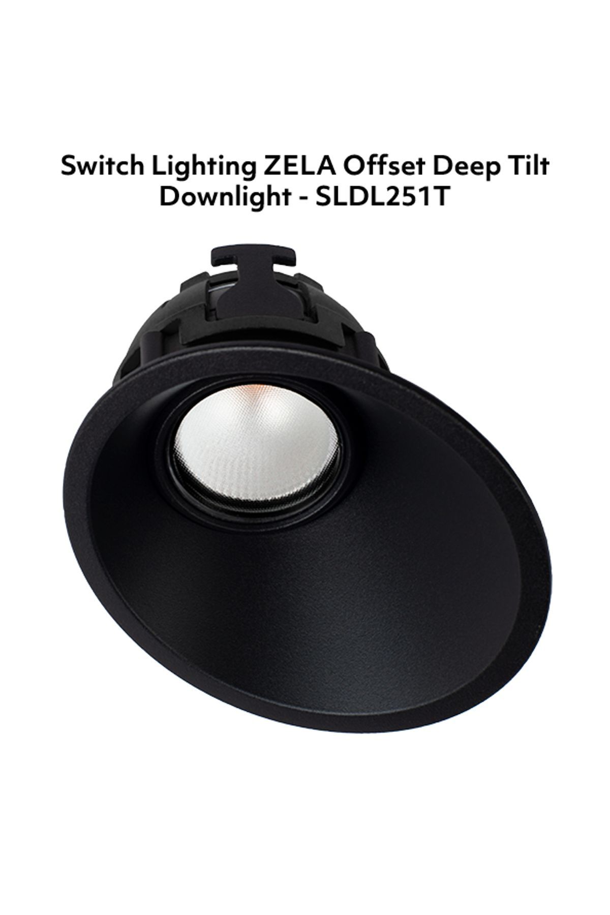 Switch-Lighting-luminaire-4-SLDL251T-v3.jpg