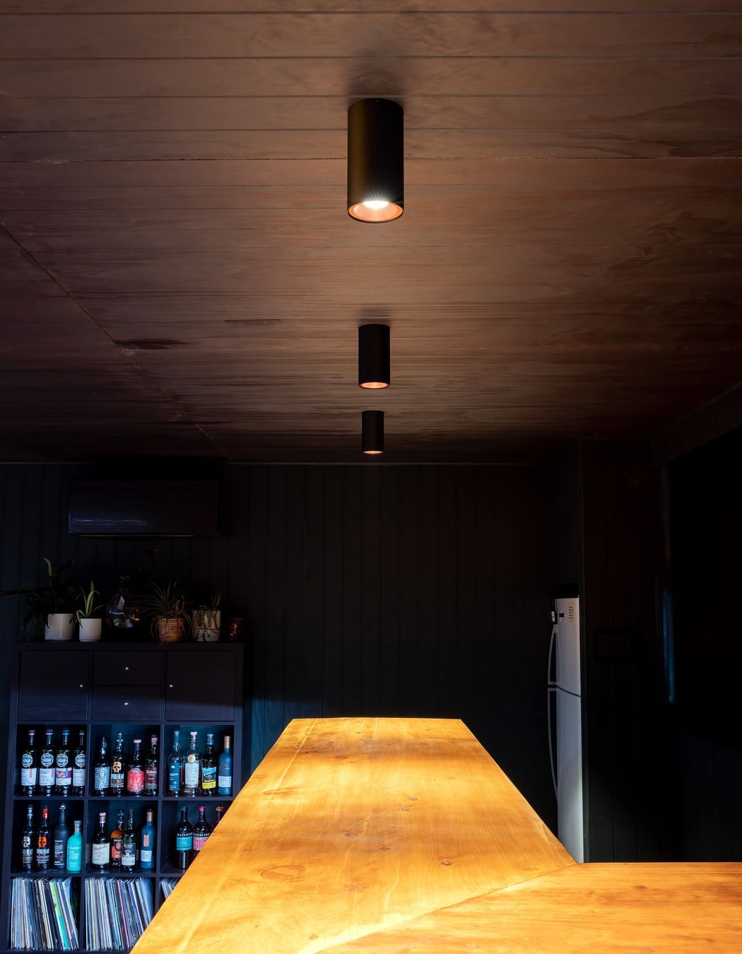 An inspirational reno project, with lighting at the heart of the design concept