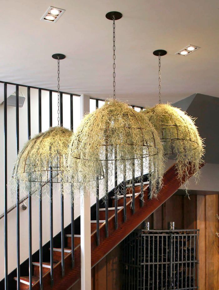 Powersurge's steel plant baskets are handmade to suit your brand.