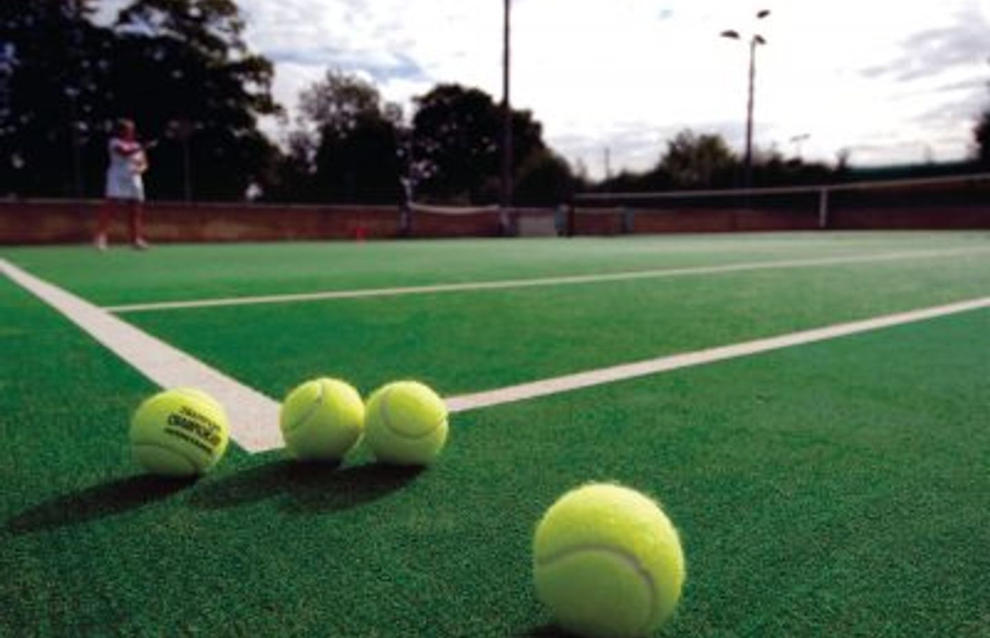 The Expert Guide to Sports Turf