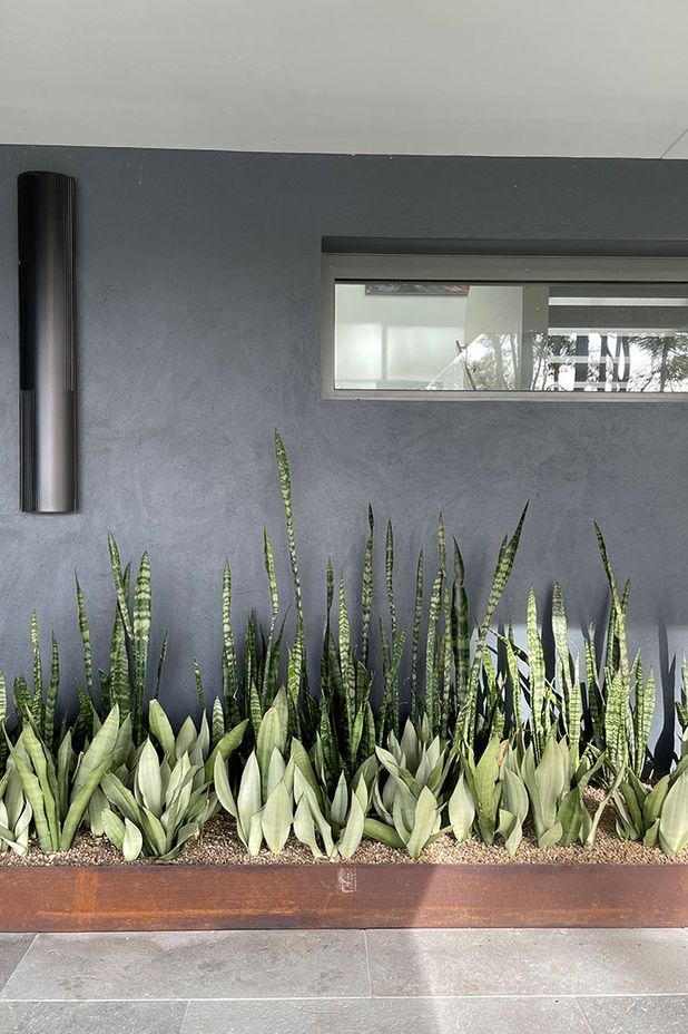 The Big Steel: Why everyone is in love with the weathered good looks of Corten