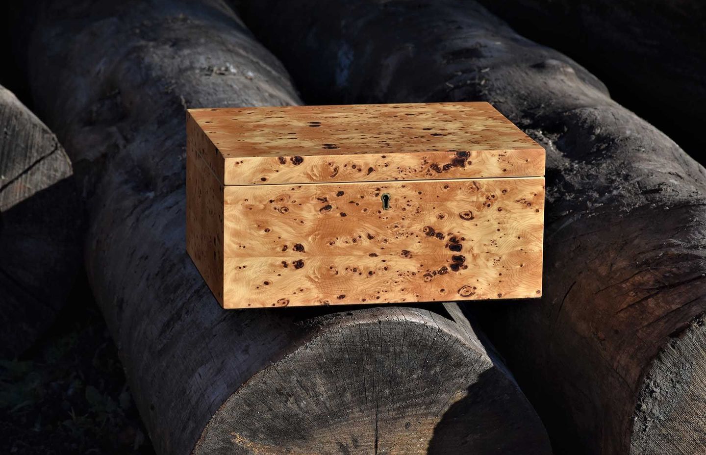 The Master and his apprentice…