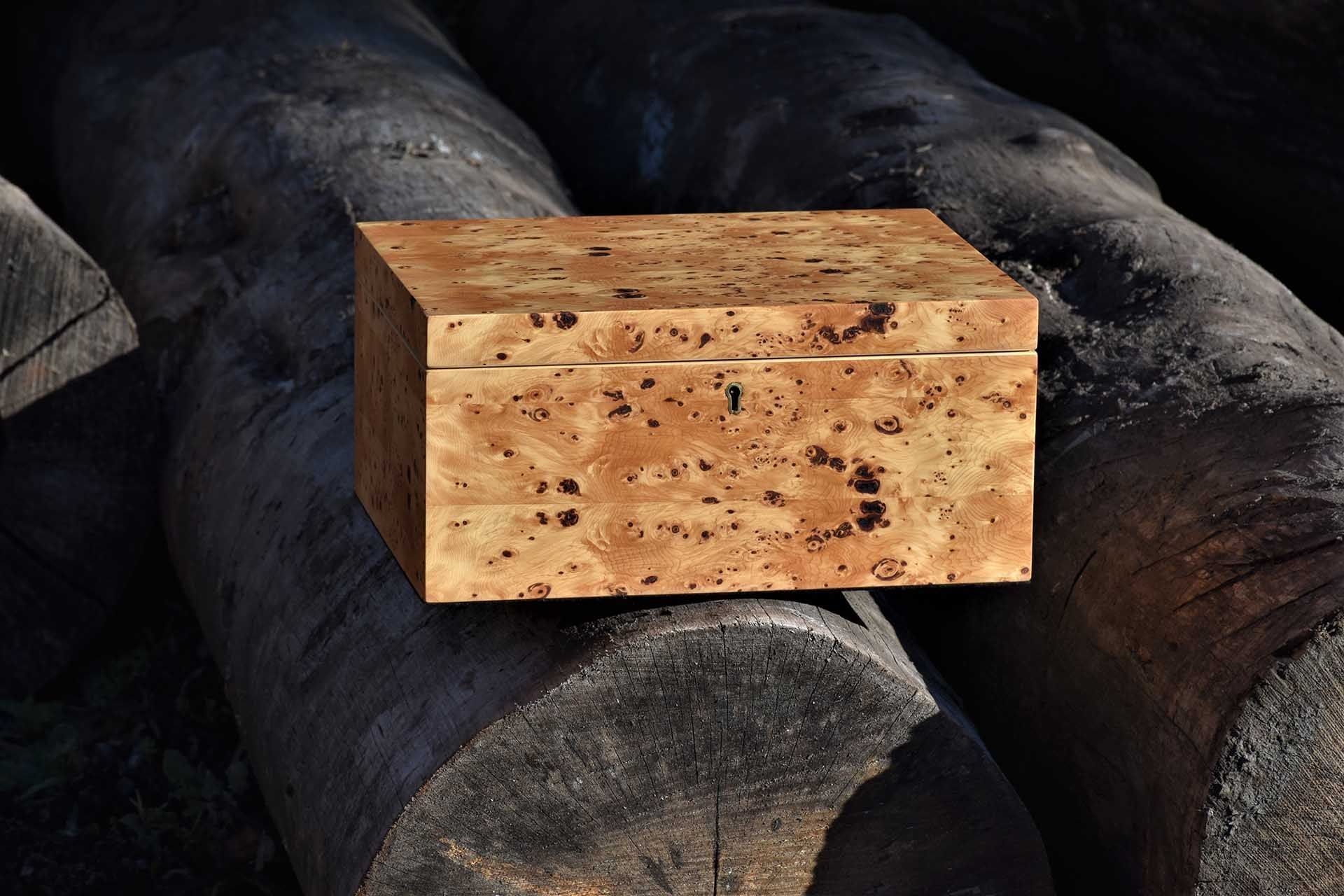 The Master and his apprentice…