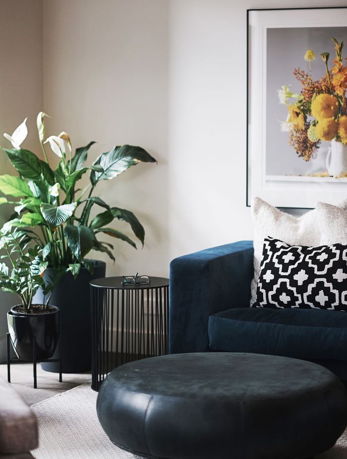 "Your home is your sanctuary and should be a place you love to be," shares Hayley.