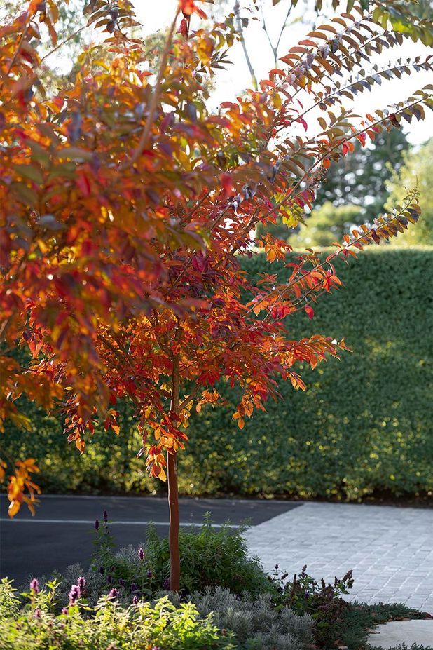 The warm heart of cold gardens