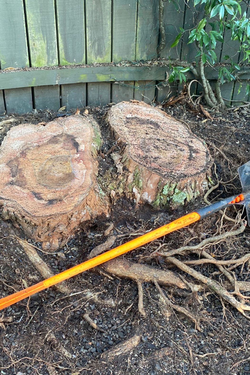 Tree-Stump-01-v1.jpg