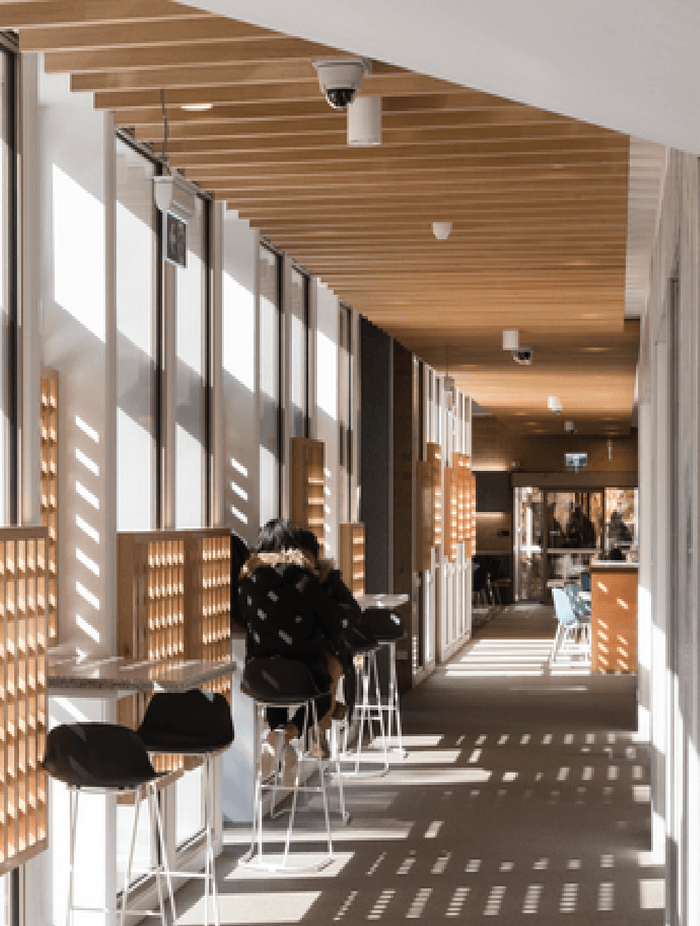 The Possibilities of Quartz Carpet