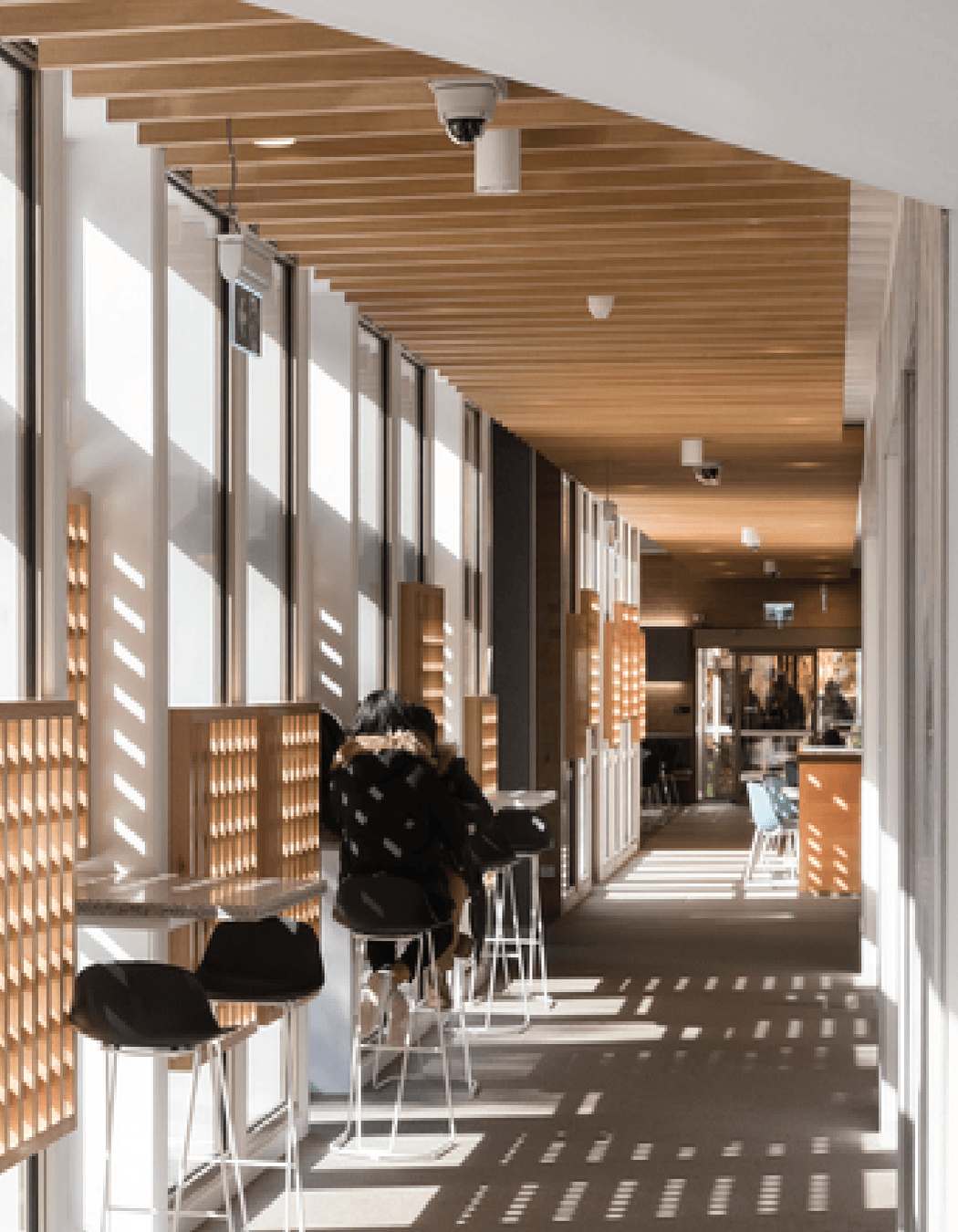 The Possibilities of Quartz Carpet