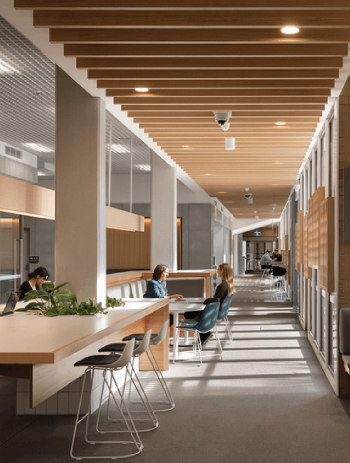 The Possibilities of Quartz Carpet