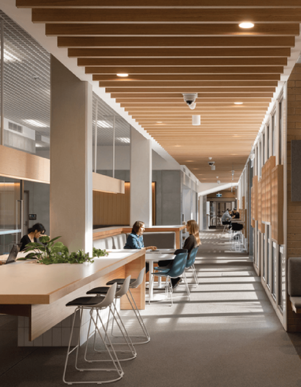 The Possibilities of Quartz Carpet