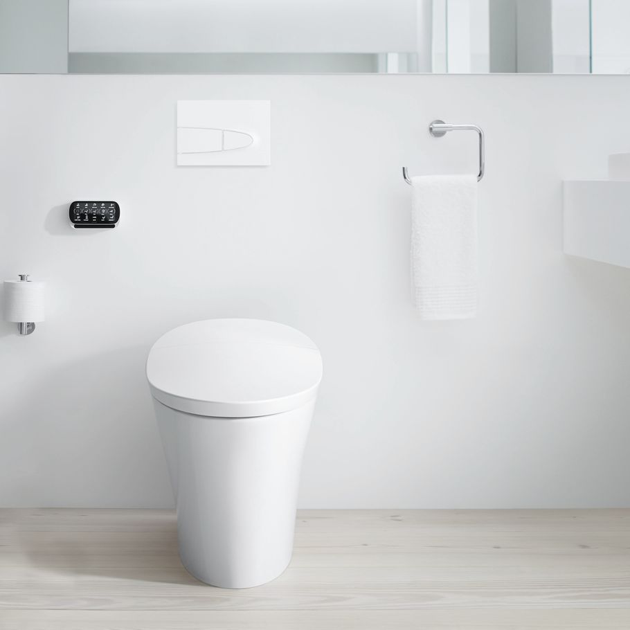 What is a rimless toilet? The pros and cons
