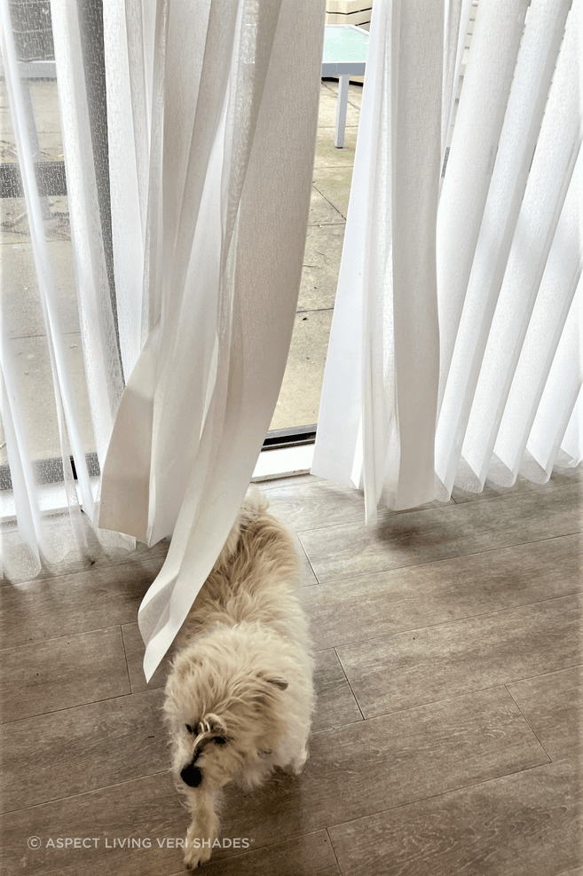 Veri-Shadeswith-pet.png