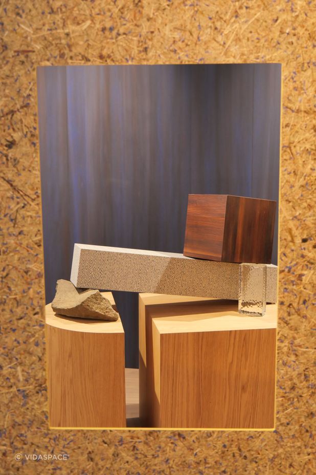 Nordus Veneer - Winter Larch