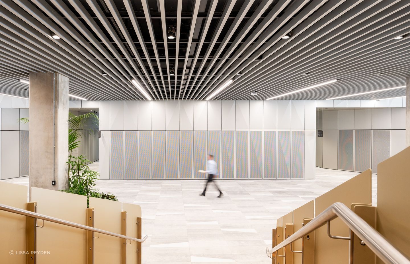 The clear anodised finish creates a light modern aesthetic, elevating the ceiling and the space.