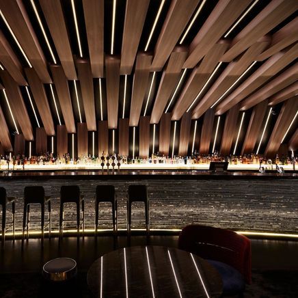 Curious bar evokes a sense of wonder by design